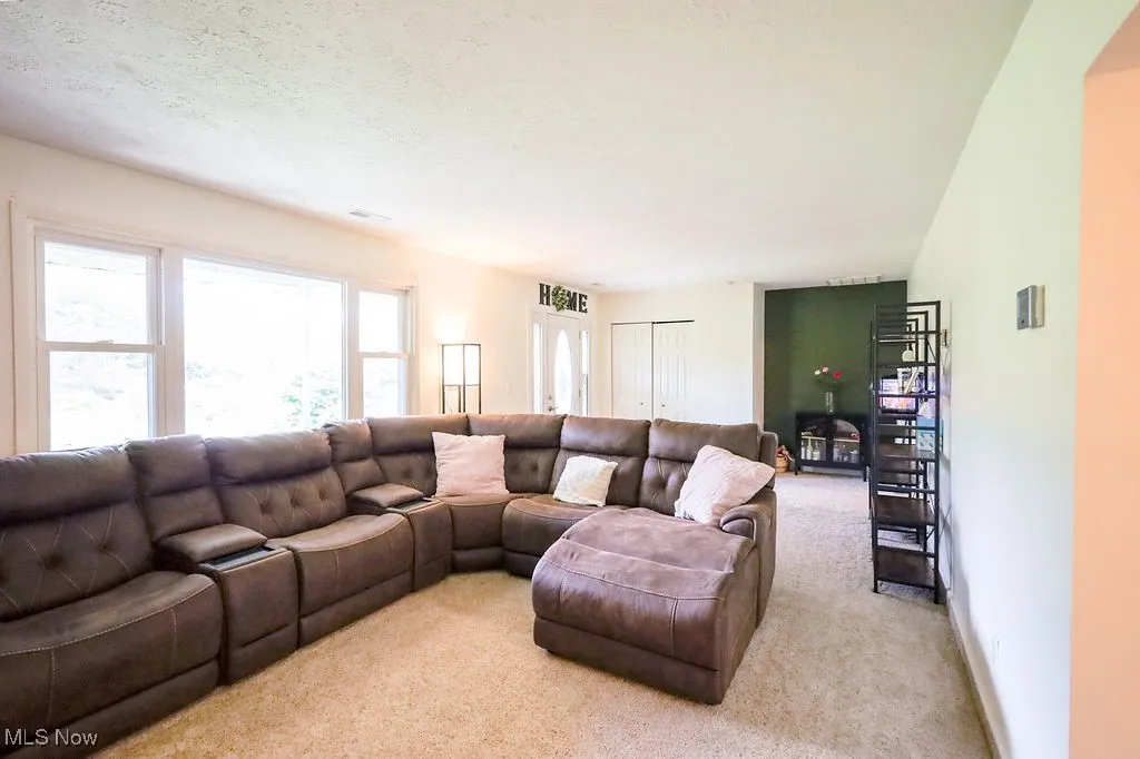 Living room featuring carpet and a textured ceiling