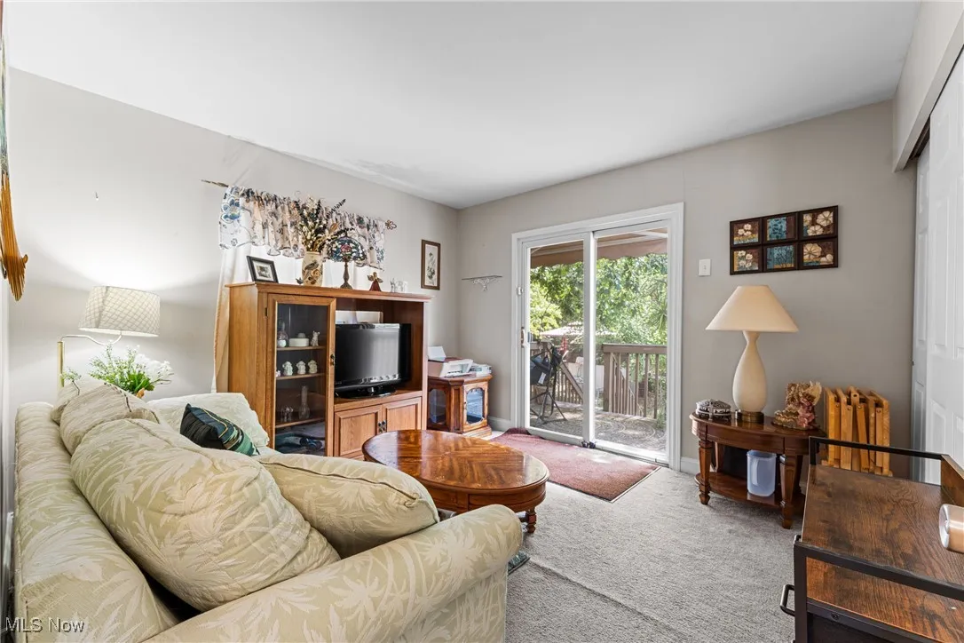 Living room featuring carpet