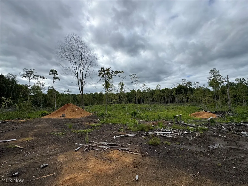 V/L Keefus Road, Conneaut, Ohio 44030,MLS Now Listing ID