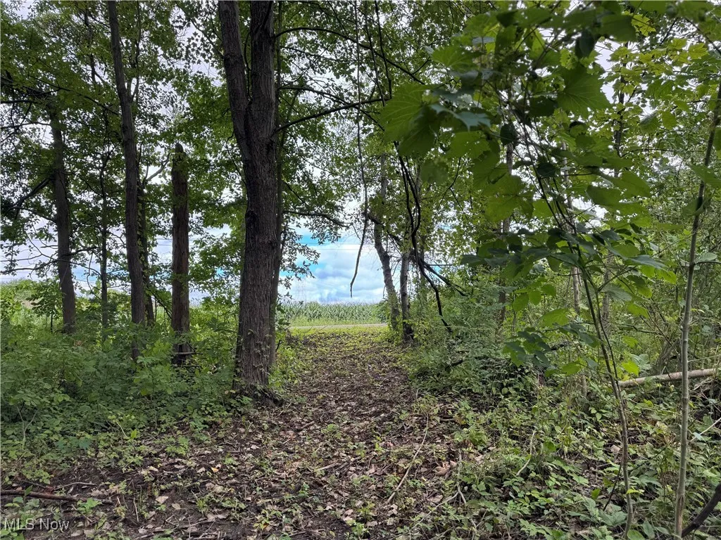 V/L Keefus Road, Conneaut, Ohio 44030,MLS Now Listing ID