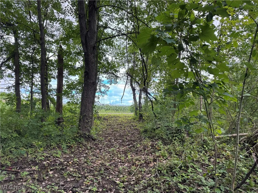V/L Keefus Road, Conneaut, Ohio 44030,MLS Now Listing ID
