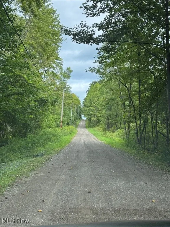 V/L Keefus Road, Conneaut, Ohio 44030,MLS Now Listing ID