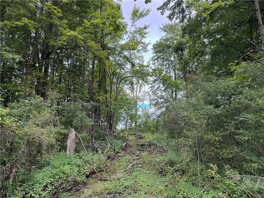 V/L Keefus Road, Conneaut, Ohio 44030,MLS Now Listing ID