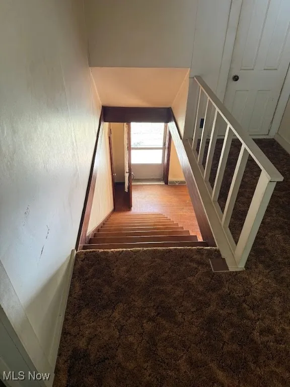 Stairs featuring wood finished floors and carpet floors