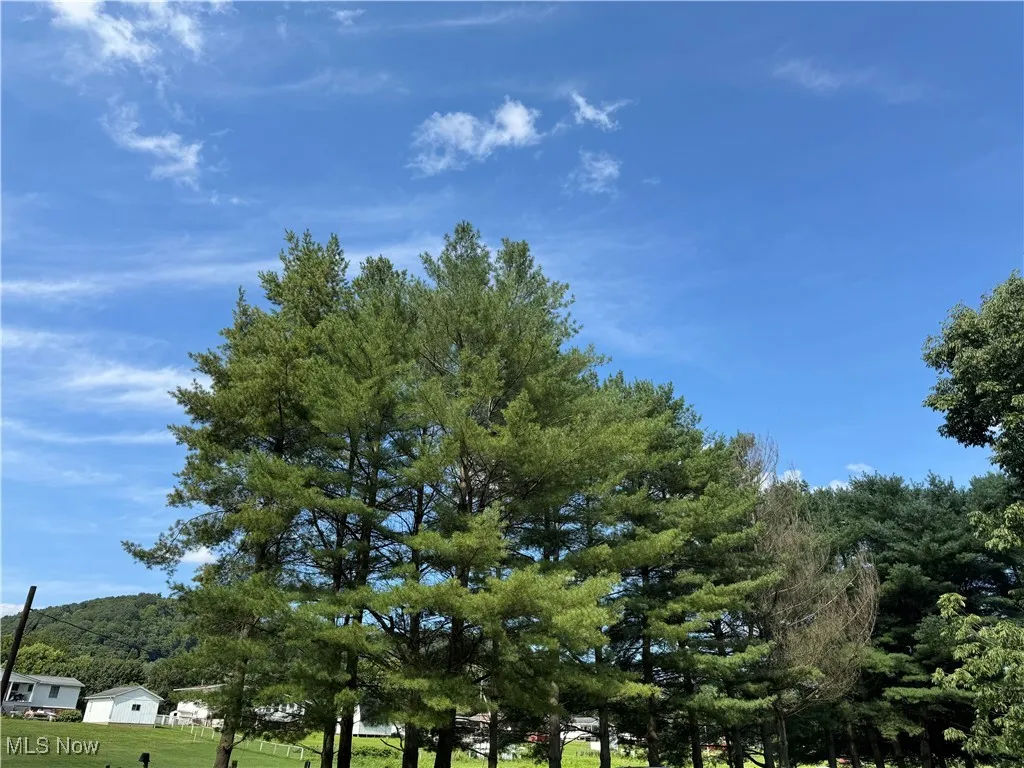 37020 Monroe Street, Sardis, Ohio 43946,MLS Now Listing ID
