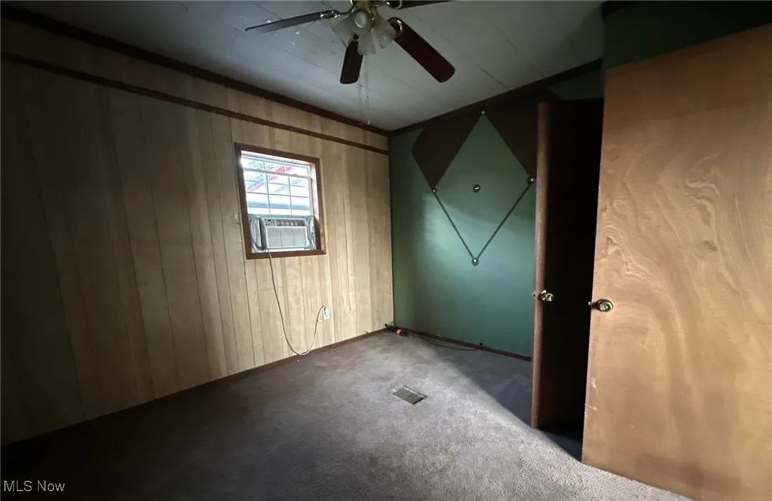 Spare room featuring wooden walls, a ceiling fan, and carpet flooring