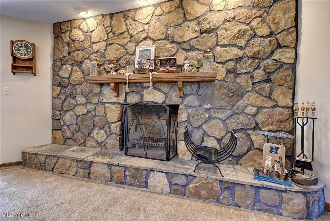 Detailed view of a fireplace and carpet flooring