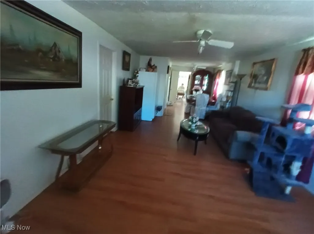 Living area with a ceiling fan and wood finished floors