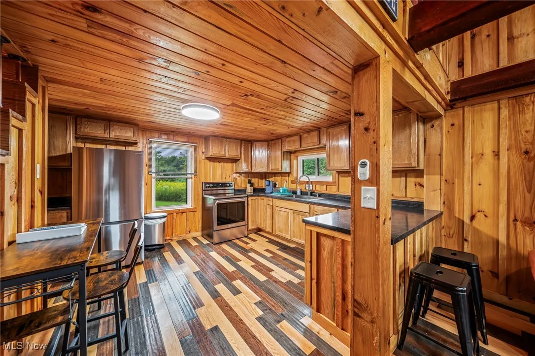 Kitchen with wood ceiling, healthy amount of natural light, stainless steel appliances, dark countertops, and wooden walls