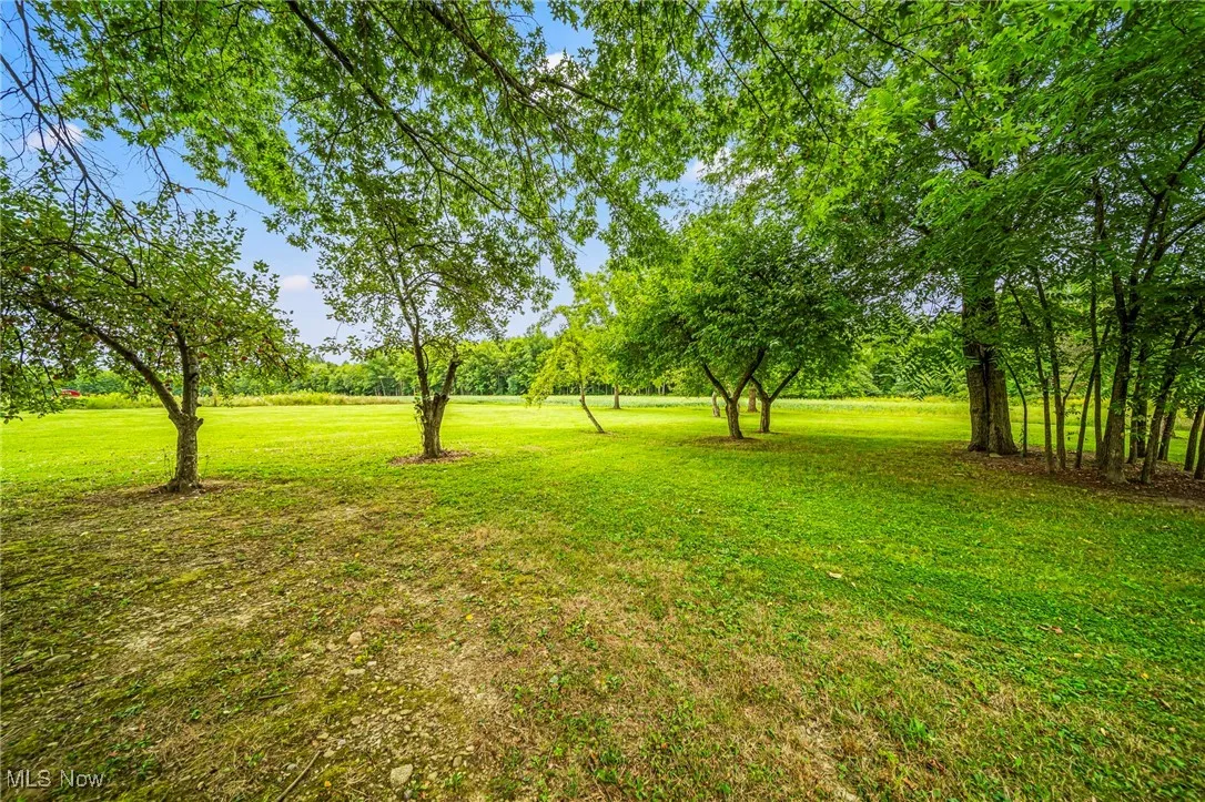 View of green lawn