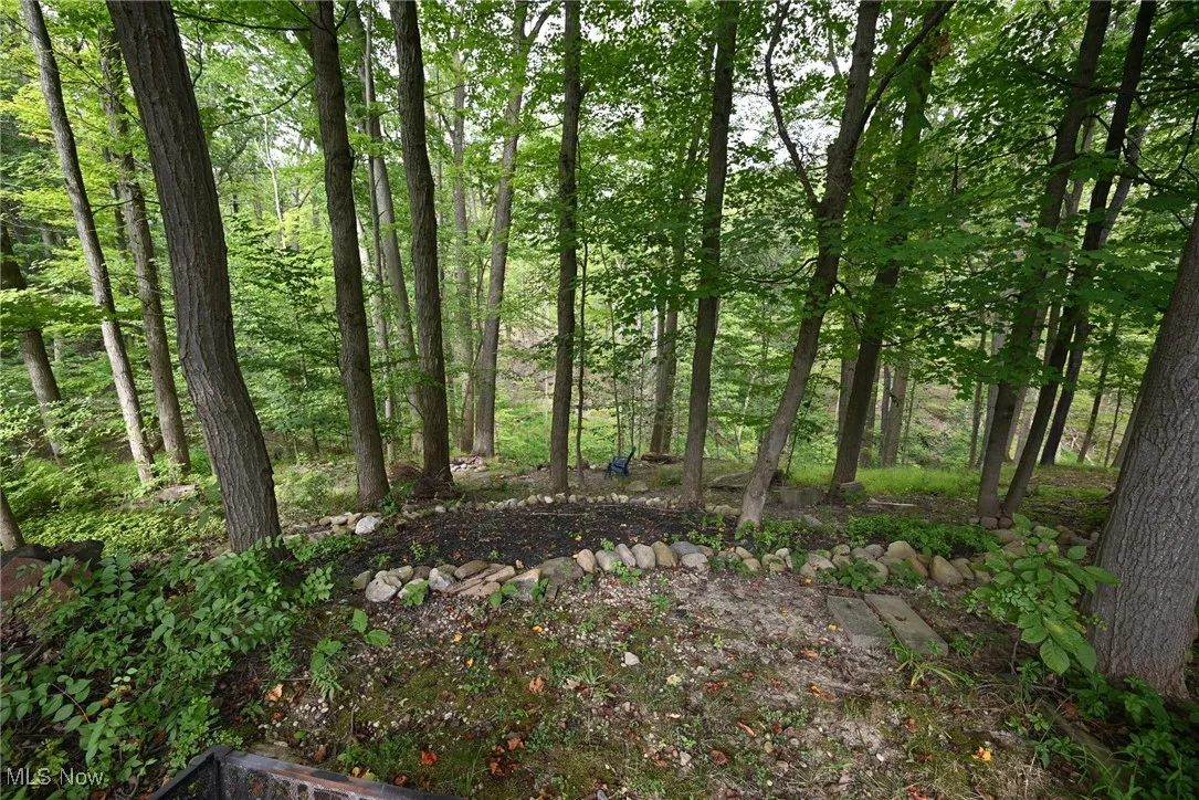 View of nature