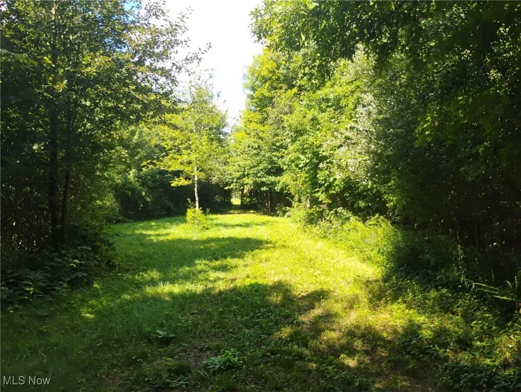 View of undeveloped land