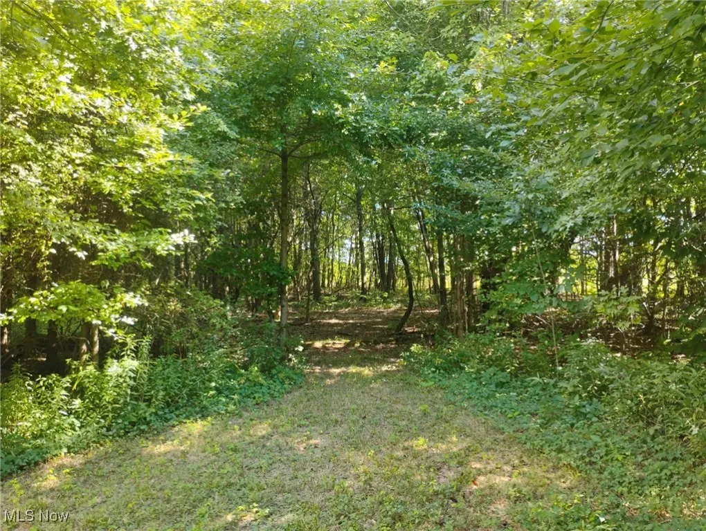 View of yard with a wooded view