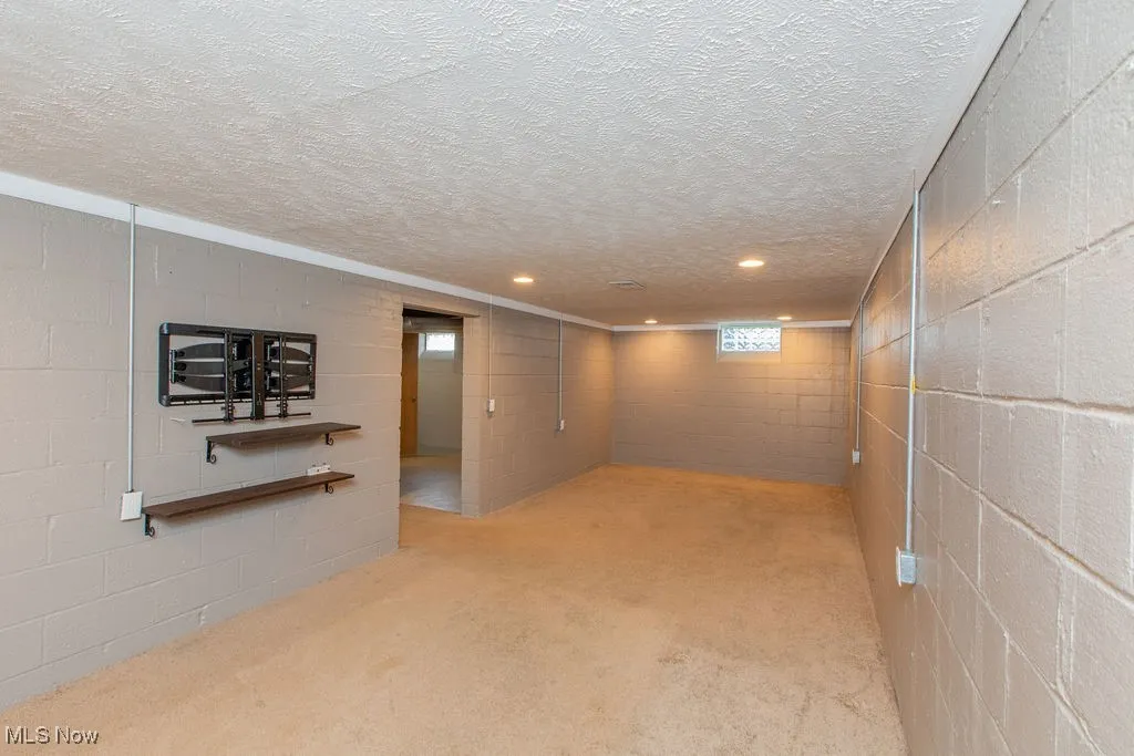 Below grade area featuring carpet