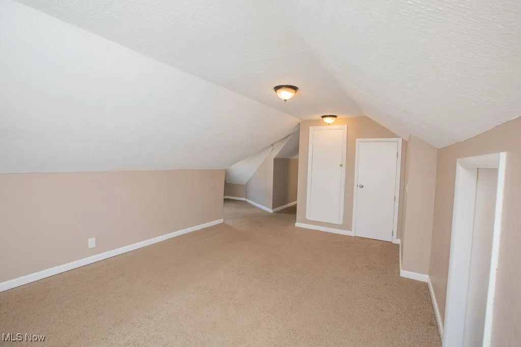 Additional living space featuring light colored carpet, lofted ceiling, and a textured ceiling