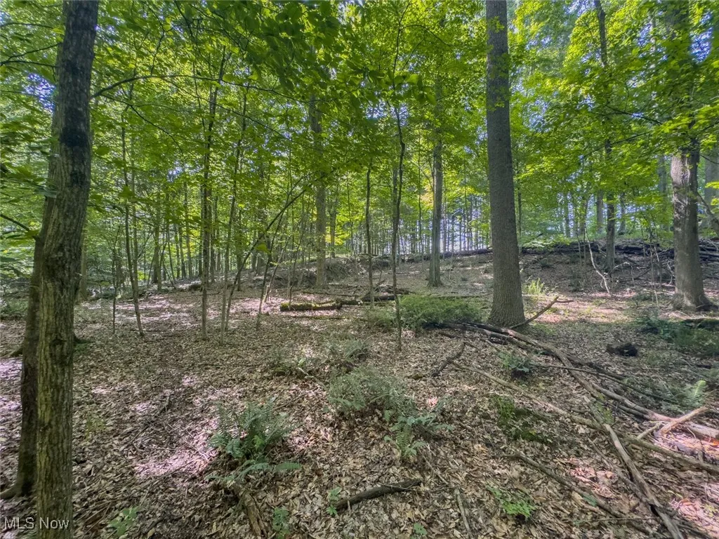 View of nature