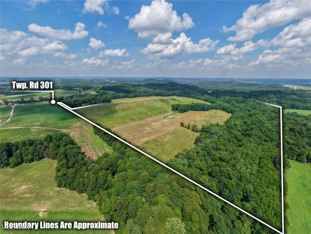 Aerial view of property's location with a forest and property boundaries highlighted