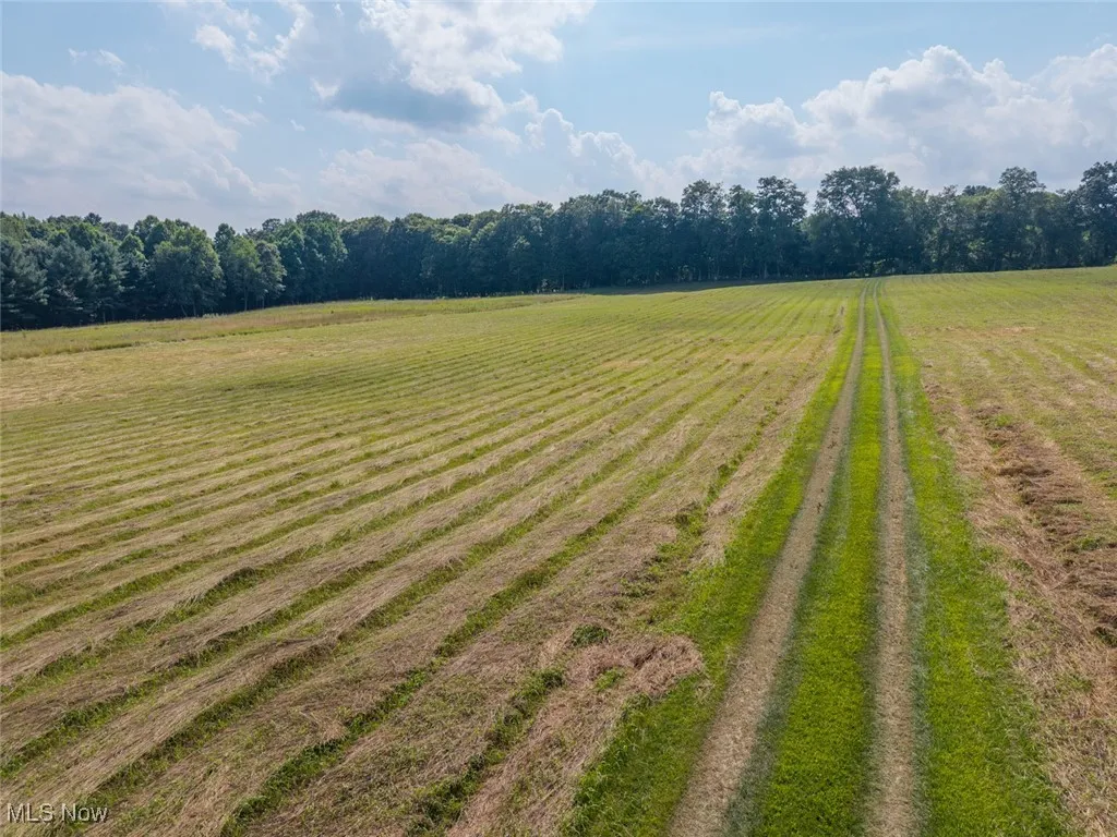 View of yard with a rural view and agricultural plots