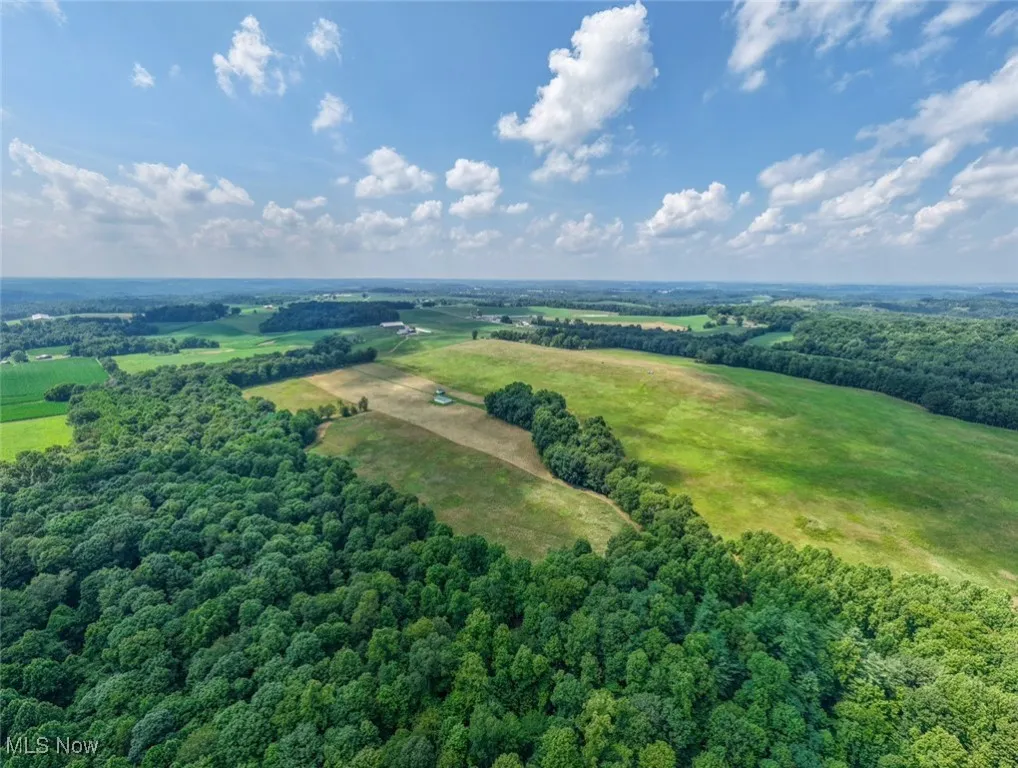 Overview of rural landscape with a forest