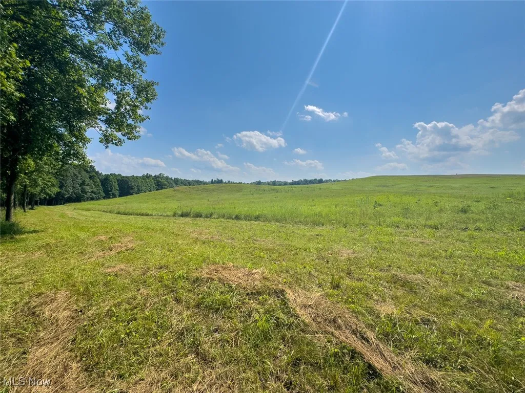 View of local wilderness with rural landscape