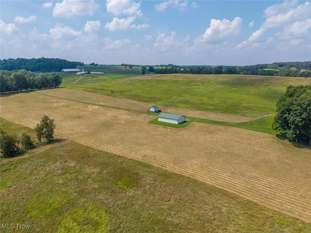 Overview of rural landscape with rows of crops