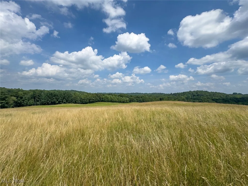 View of woods with a view of countryside