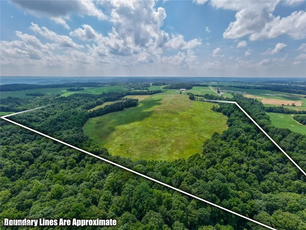 Aerial view of property and surrounding area with a heavily wooded area and property boundaries highlighted