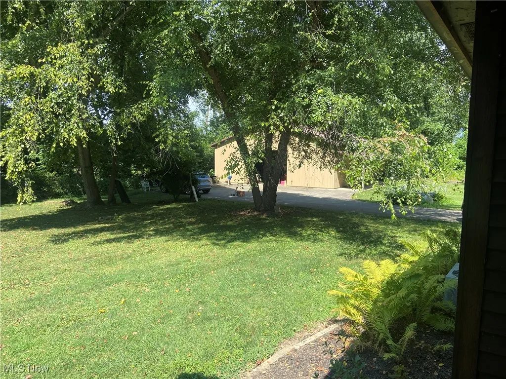 View of green lawn