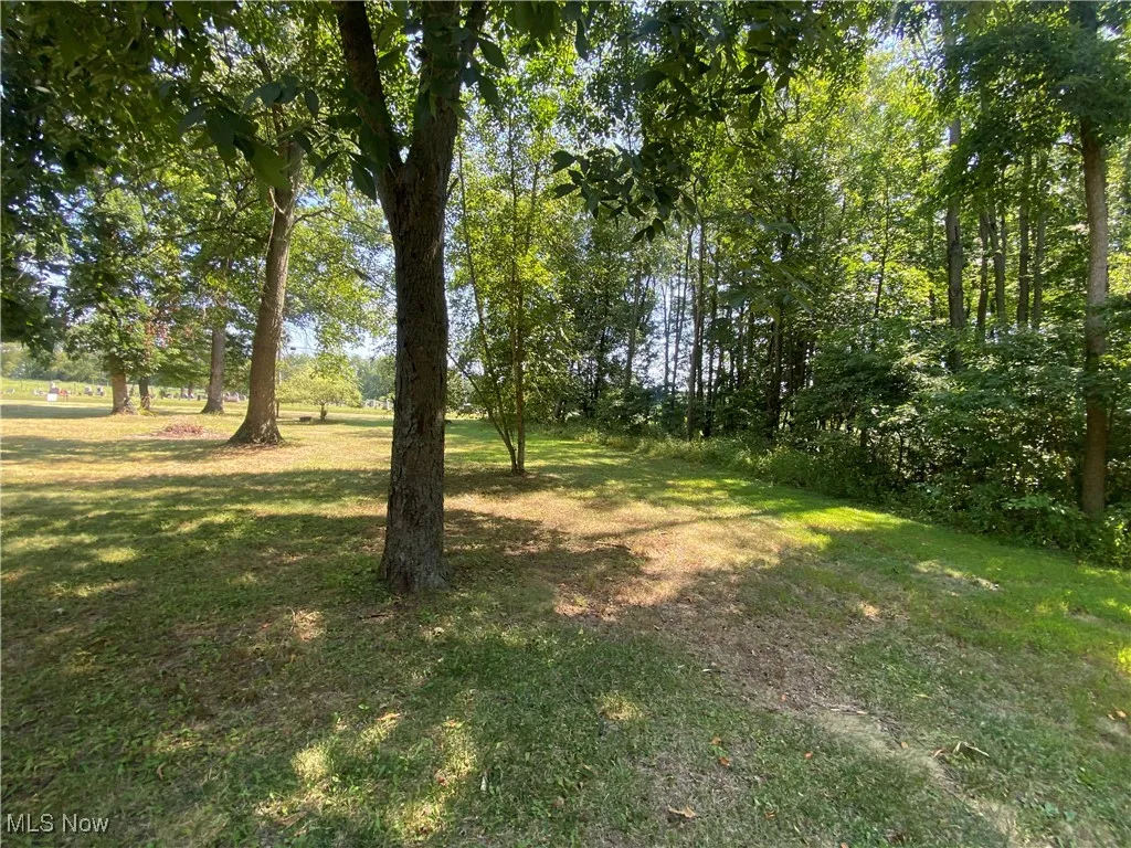 View of grassy yard