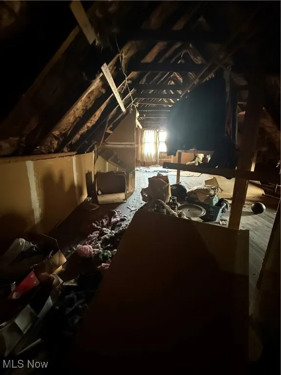 View of unfinished attic