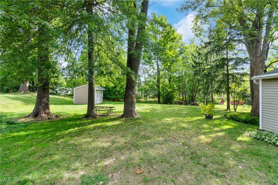 View of backyard