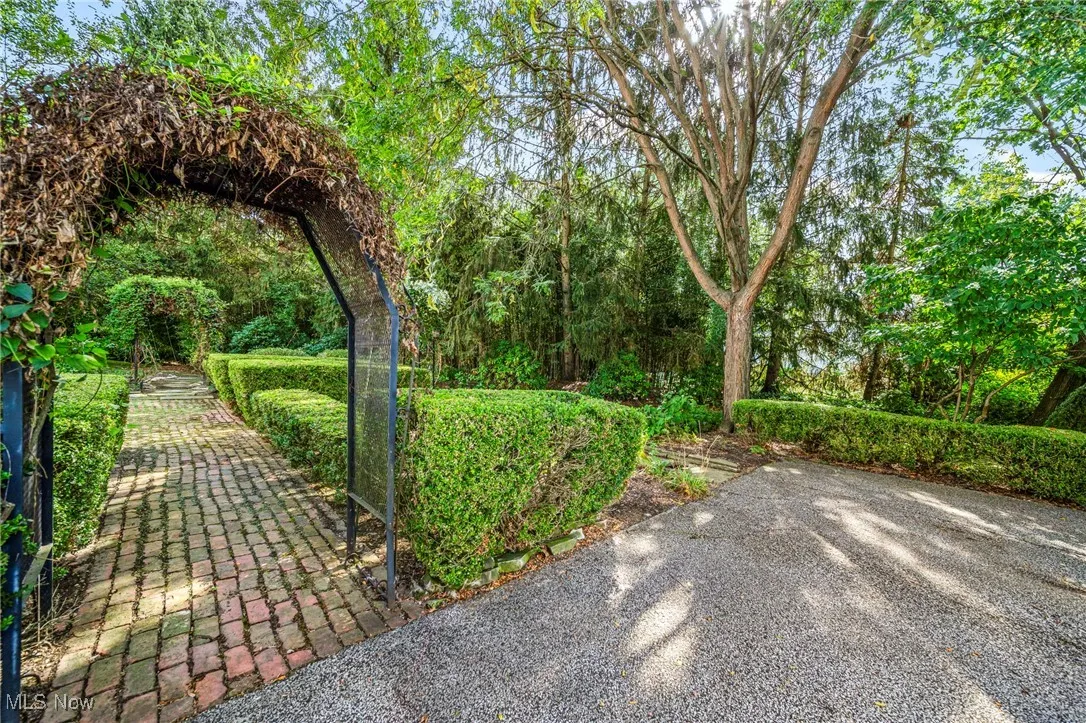 View of yard featuring a view of trees