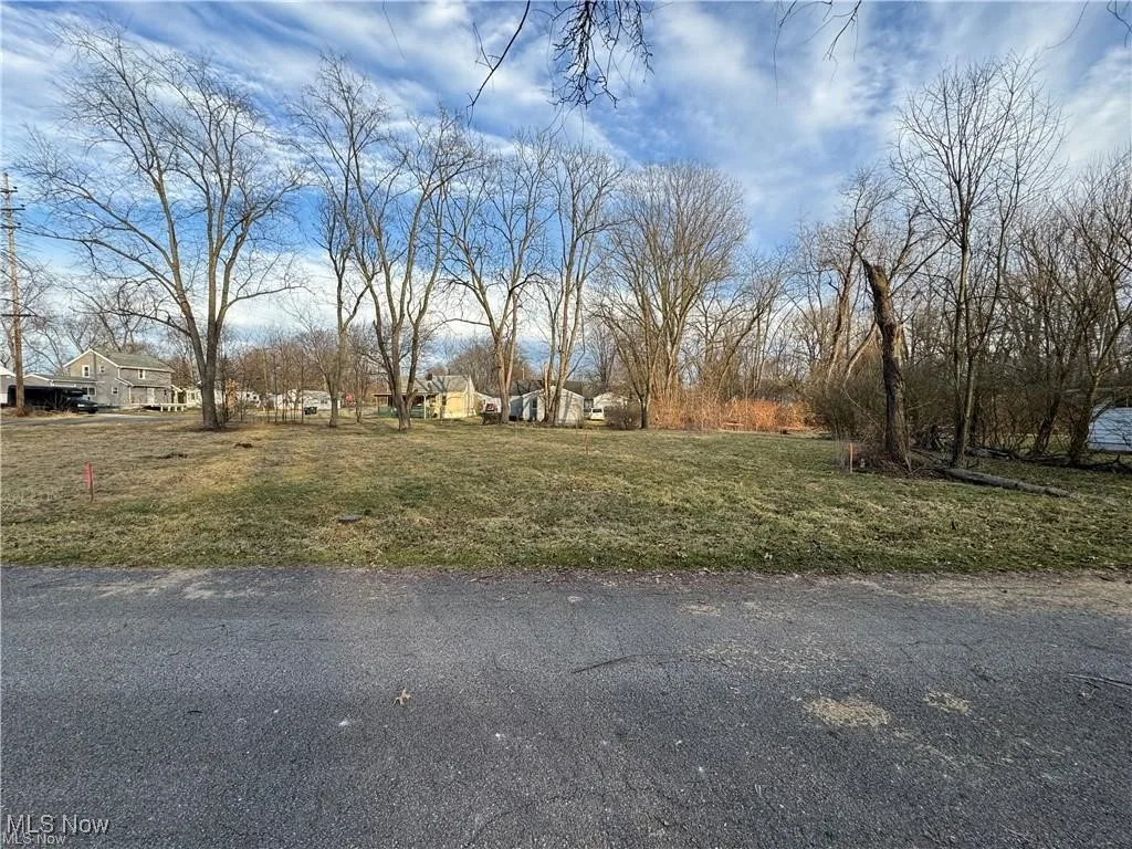 1229 Pickford Avenue, Akron, Ohio 44320,MLS Now Listing ID