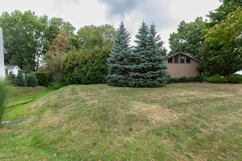 View of grassy yard featuring view of scattered trees