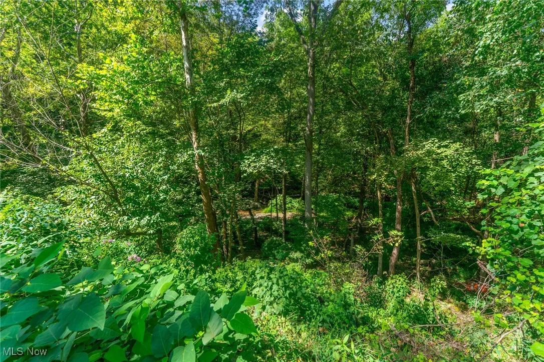 1010 Hibbetts Mill Road, Wellsville, Ohio 43968,MLS Now Listing ID