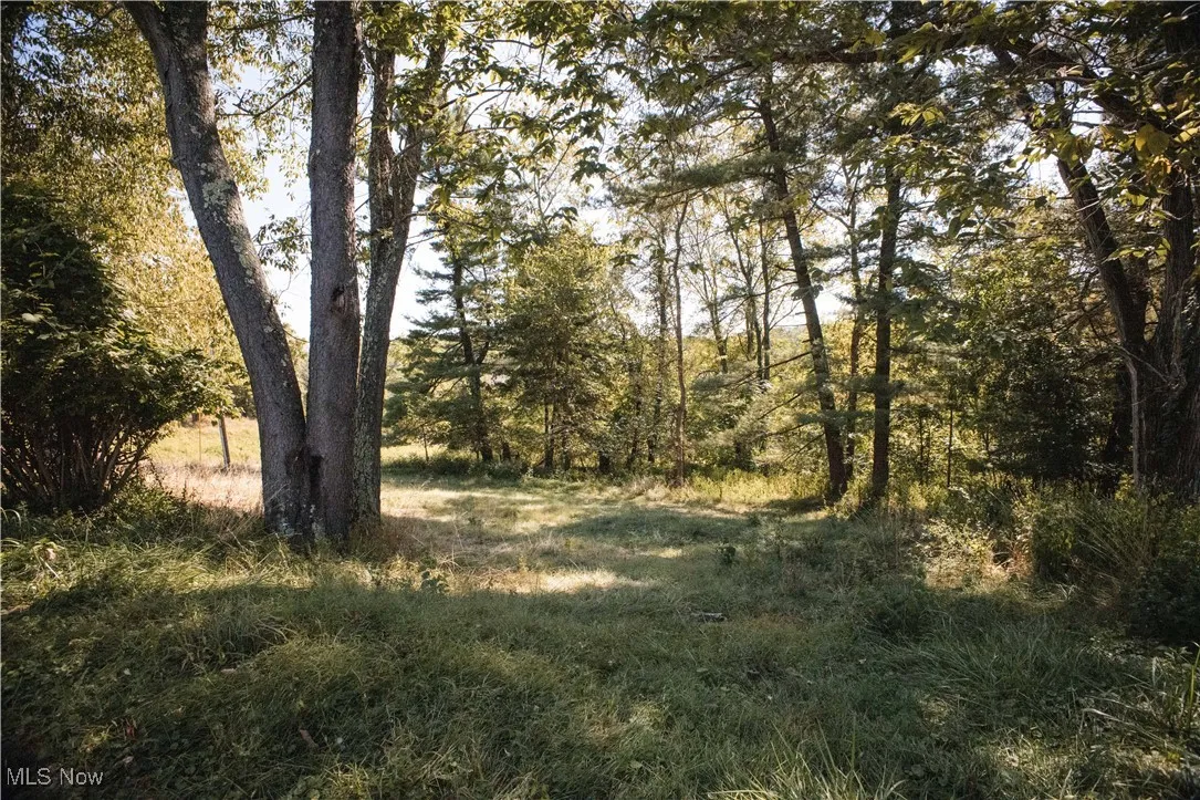 View of nature