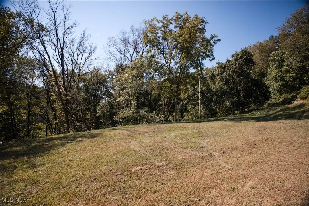 View of grassy yard
