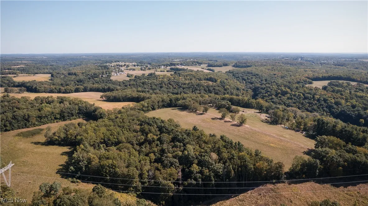 Aerial view of a forest