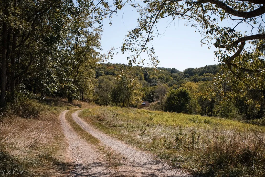 View of dirt / gravel road featuring a wooded view