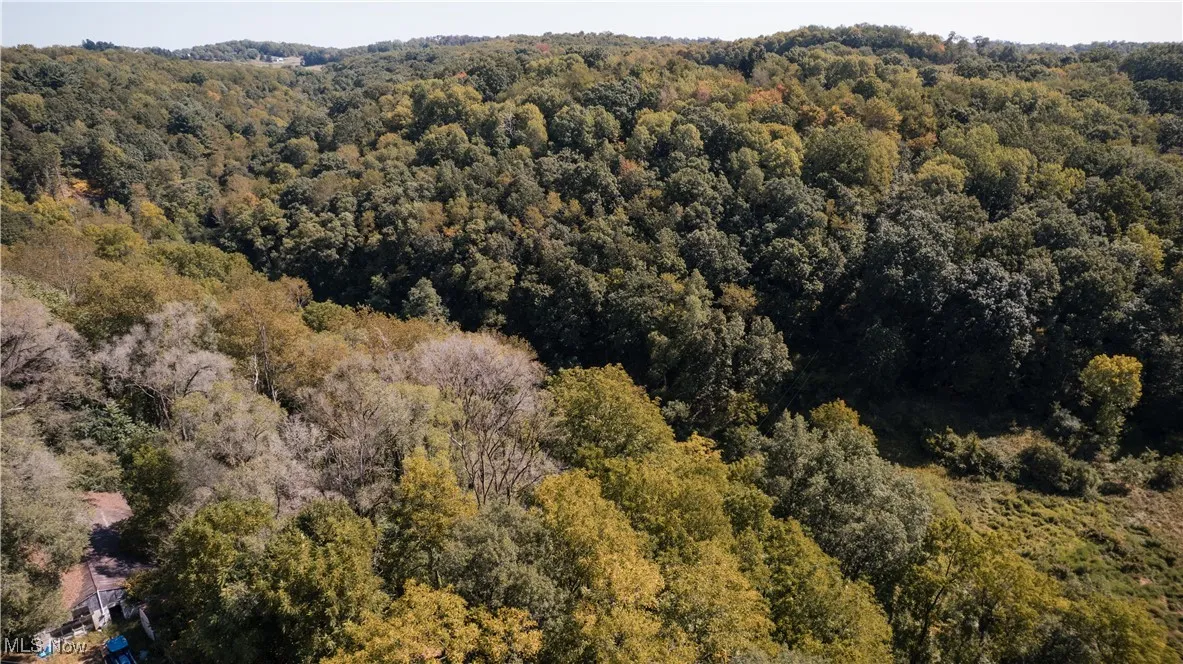 Aerial overview of property's location with a heavily wooded area
