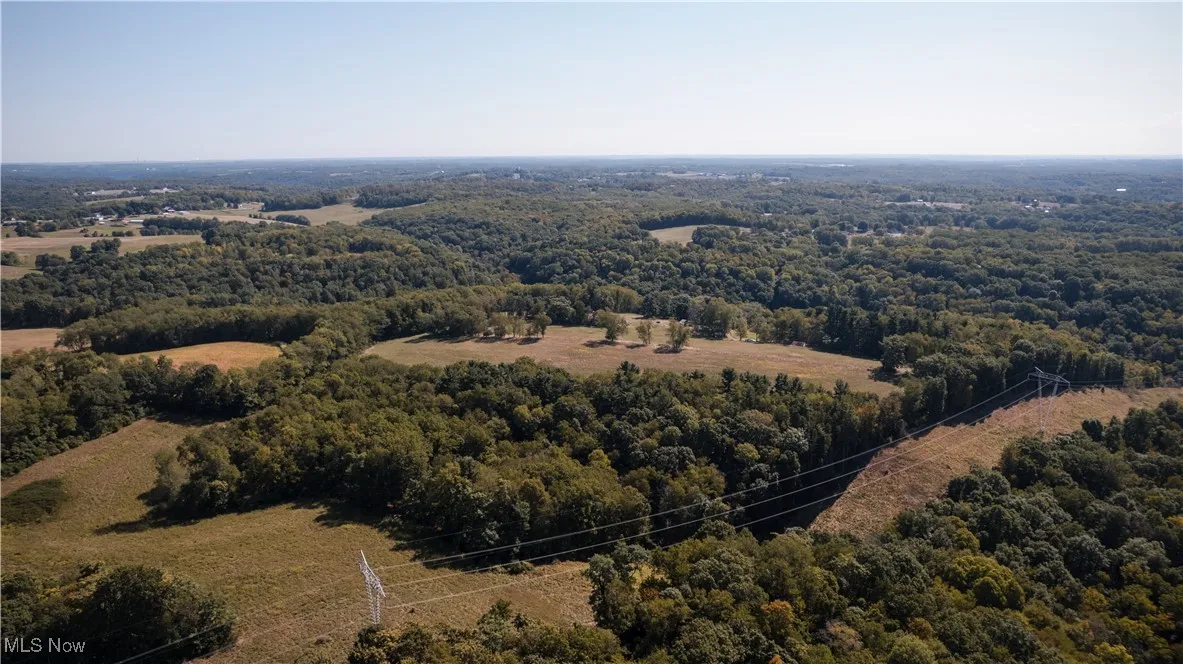 Aerial view of a forest