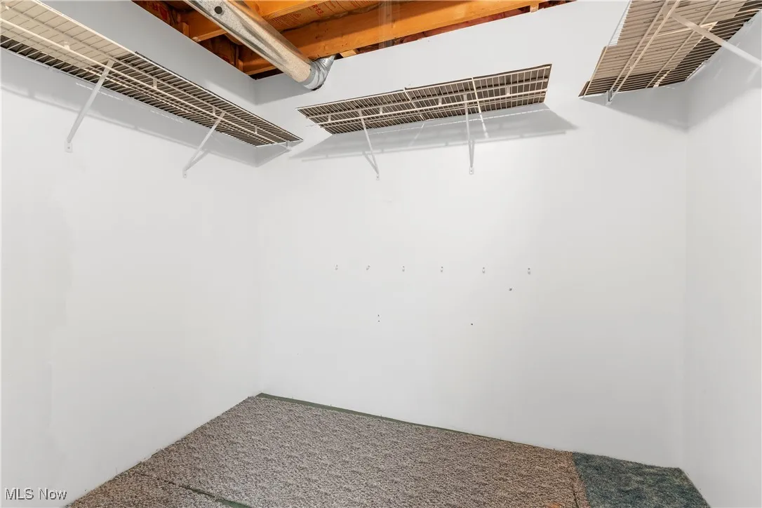 Walk in closet with carpet