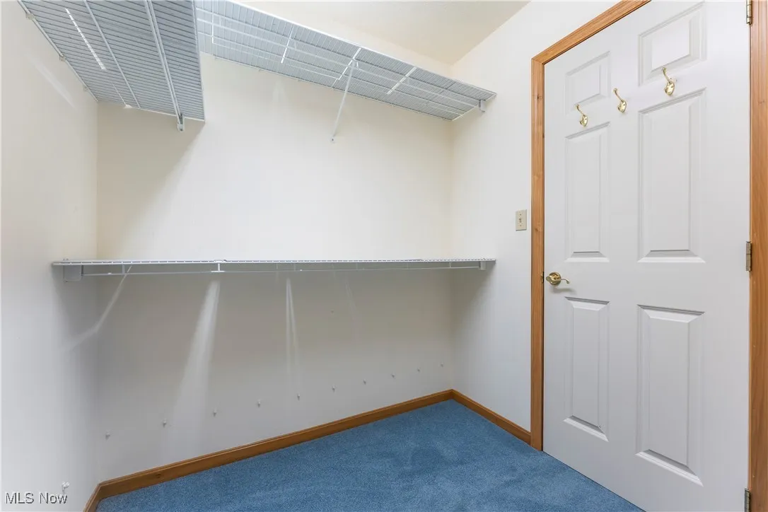Walk in closet with dark carpet