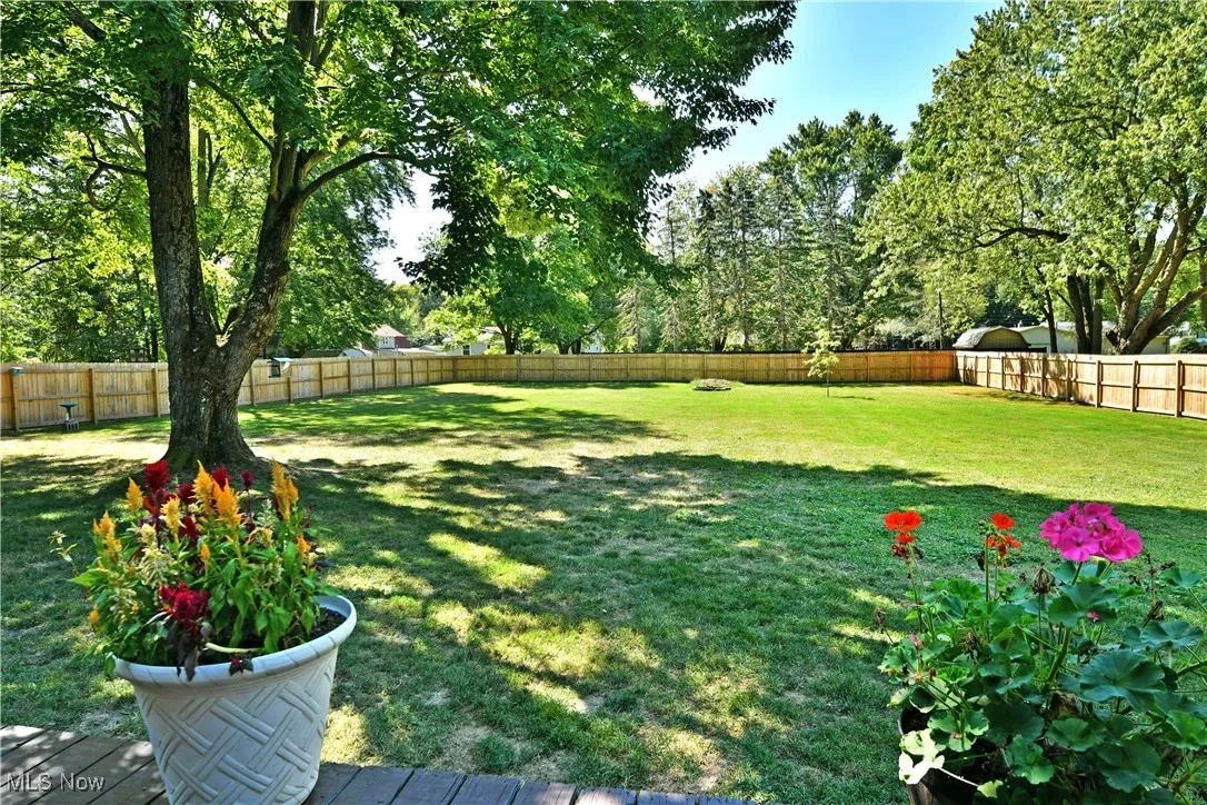 View of fenced backyard