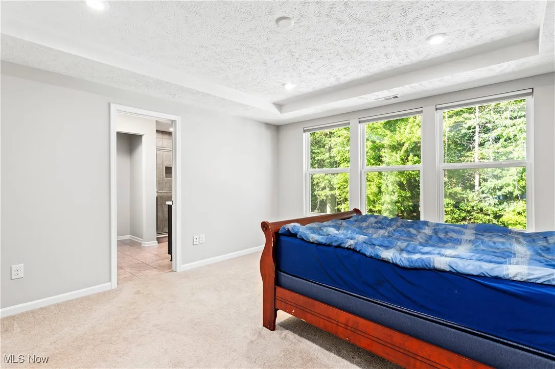 Carpeted bedroom featuring a raised ceiling and a textured ceiling