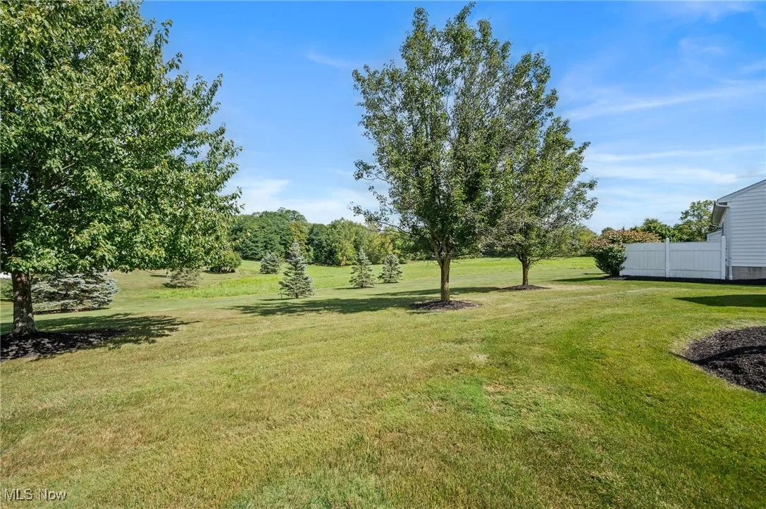 View of grassy yard