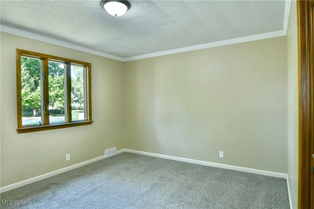 Unfurnished room featuring carpet floors, ornamental molding, and a textured ceiling