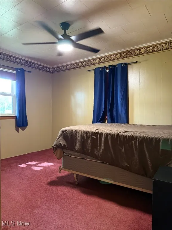 Bedroom featuring ceiling fan, carpet flooring, and ornamental molding