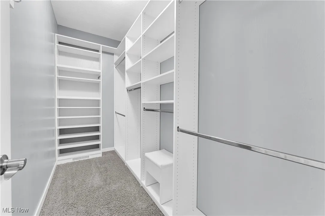 Walk in closet with light colored carpet