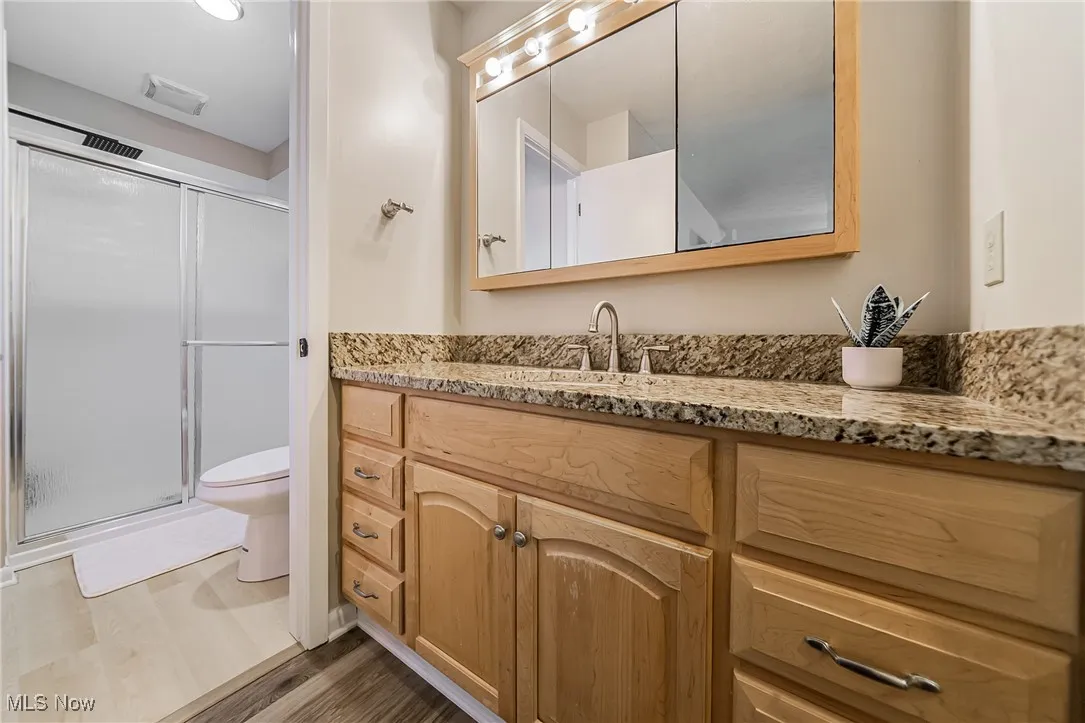 Bathroom with a shower stall, vanity, and dark wood finished floors